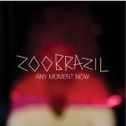 ZOO BRAZIL / ANY MOMENT NOW