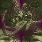 AARON DILLOWAY/JASON LESCALLEET / GRAPES AND SNAKES