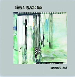 LITTLE BLACK EGG (GEORGIA HUBLEY from YO LA TENGO) / BUZZARD'S BED LP