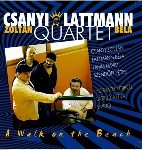 CSANYI ZOLTAN / WALK ON THE BEACH