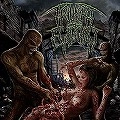 SPLIT (KATALEPSY / FLESHROT / BLUNT FORCE TRAUMA) / TRIUMPH OF EVILUTION