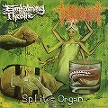 SPLIT (EMBALMING THEATRE / TORTURE INCIDENT) / SPLIT