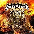 HATEBREED / ヘイトブリード / HATEBREED