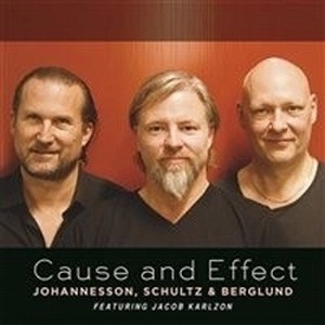 PETER JOHANNESSON / CAUSE AND EFFECT