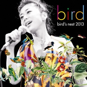 bird / bird's nest 2013 / BIRD'S NEST 2013
