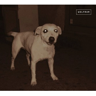 WOLFRAM / WOLFRAM