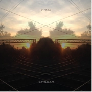 SYNKRO / Acceptance EP