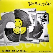 FATBOY SLIM / ファットボーイ・スリム / LITTLE BIT OF THIS...