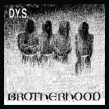 D.Y.S. / ディーワイエス / BROTHERHOOD(COLOR VINYL)