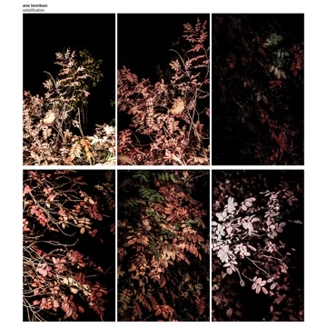 ARVE HENRIKSEN / アルヴェ・ヘンリクセン / Solidification(7LP+2DVD box)