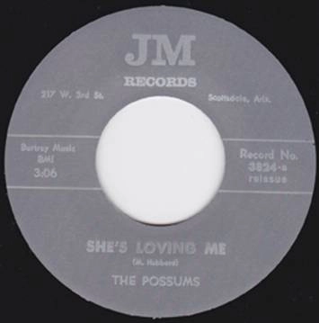 POSSUMS / SHE'S LOVING ME/KING OF HIS WORLD