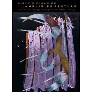 DAVID SYLVIAN / デヴィッド・シルヴィアン / AMPLIFIED GESTURE