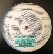 BOOKWORMS & STEVE SUMMERS  / CONFUSED HOUSE 1