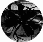 THEO PARRISH / セオ・パリッシュ / DANCE OF THE MEDUSA EP