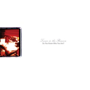 TEXAS IS THE REASON / テキサス・イズ・ザ・リーズン / DO YOU KNOW WHO YOU ARE? : THE COMPLETE COLLECTION