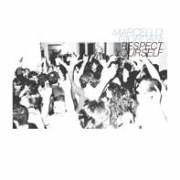 MARCELLO GIORDANI / ＲＥＳＰＥＣＴ　ＹＯＵＲＳＥＬＦ