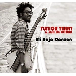 YUNIOR TERRY / ジュニオール・テリー / MI BAJO DANZON