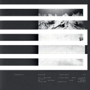 DSCRD / DSCRD REMIXES (LUCY/POLAR INERTIA REMIX)