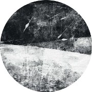 FANGO / N1
