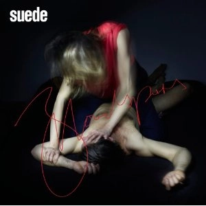 SUEDE / スウェード / BLOODSPORTS