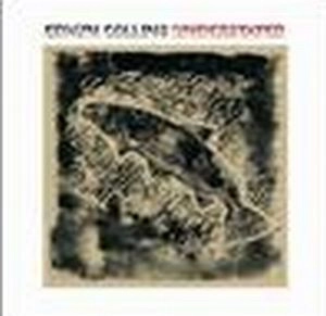 EDWYN COLLINS / エドウィン・コリンズ / UNDERSTATED