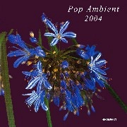 V.A.(POP AMBIENT) / POP AMBIENT 2004