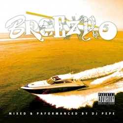 DJ PEPE / ＢＲＥＥＺＹ　ＶＯＬ．５