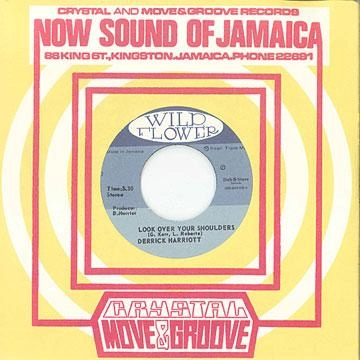 DERRICK HARRIOTT / デリック・ハリオット / LOOK OVER YOUR SHOULDERS / DANCING THE REG