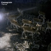 CASSEGRAIN / TIAMAT