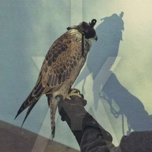 ICEAGE / アイスエイジ / YOU'RE NOTHING
