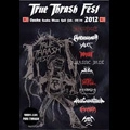 V.A. (TRUE THRASH FEST) / トゥルー・スラッシュ・フェスト・２０１２