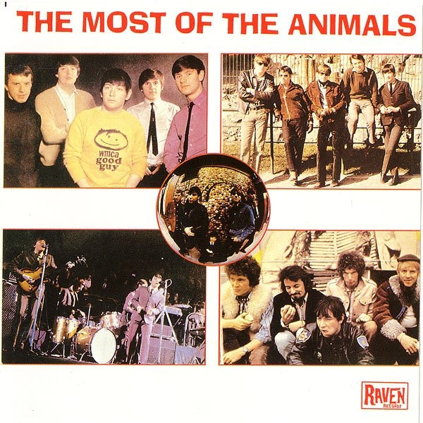 ANIMALS / アニマルズ / MOST OF ANIMALS