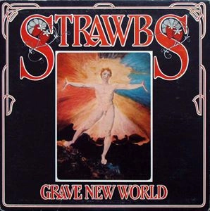 STRAWBS / ストローブス / GRAVE NEW WORLD