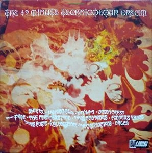 V.A. / オムニバス / 49 MINUTE TECHNICOLOUR DREAM