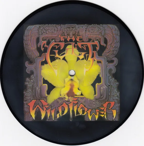 CULT / カルト / WILD FLOWER