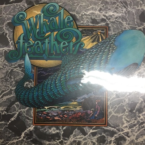 WHALEFEATHERS / WHALEFEATHERS