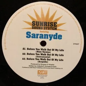 SUNRISE SOUND SYSTEM / BEFORE YOU WALK OUT