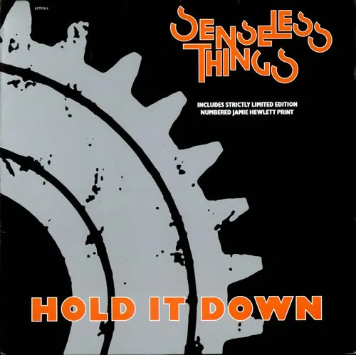 SENSELESS THINGS / センスレス・シングス / HOLD IT DOWN
