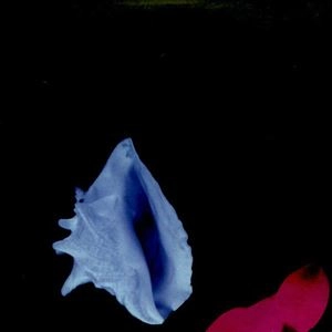 NEW ORDER / ニュー・オーダー / TOUCHED BY THE HAND OF GOD
