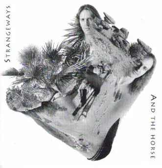 STRANGEWAYS(PUNK) / ストレンジウェイズ(PUNK) / AND THE HORSE