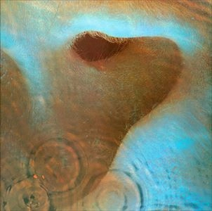 MEDDLE / PINK FLOYD / ピンク・フロイド / プログレッシヴロック