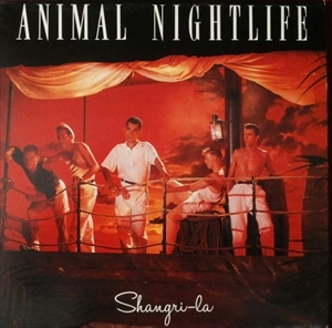 ANIMAL NIGHTLIFE / アニマル・ナイトライフ / SHANGRI-LA