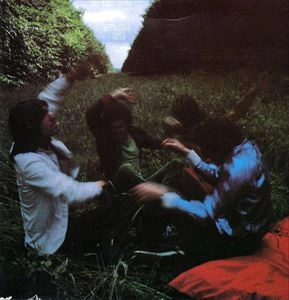 SOFT BOYS / ソフト・ボーイズ / INVISIBLE HITS