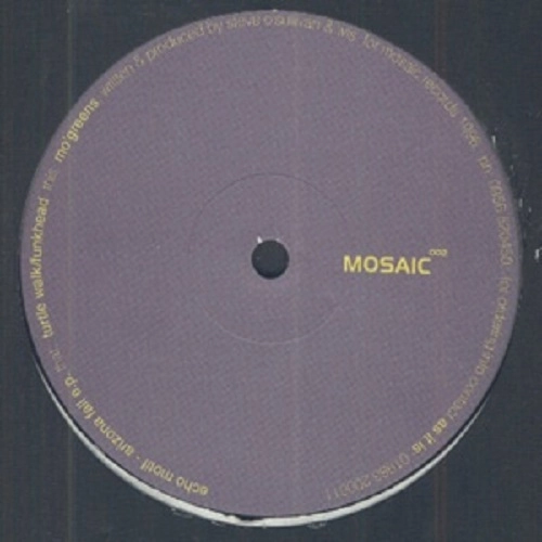 ECHO MOTIF / ARIZONA FALL EP