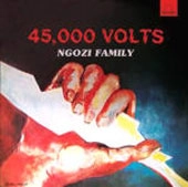 NGOZI FAMILY / ンゴジ・ファミリー / 45000 VOLTS
