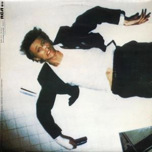 DAVID BOWIE / デヴィッド・ボウイ / LODGER