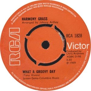 HARMONY GRASS / ハーモニー・グラス / WHAT A GROOVY DAY / FIRST TIME LOVING