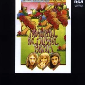NATURAL ACOUSTIC BAND / ナチュラル・アコースティック・バンド / BRANCHING IN