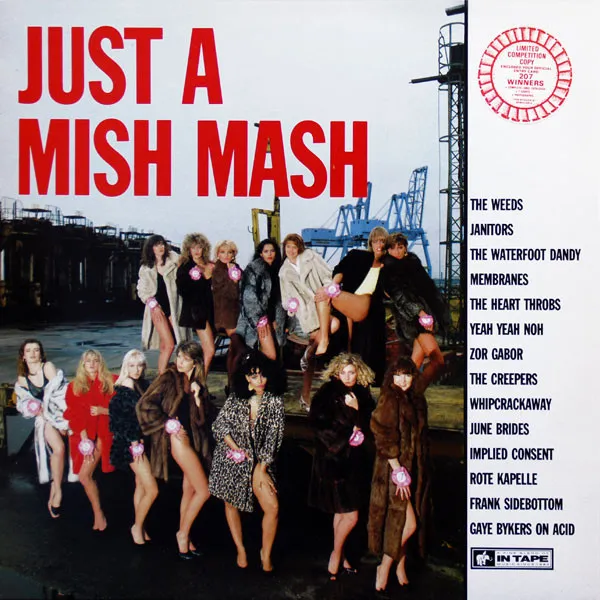 V.A. / JUST A MISH MASH