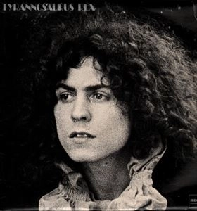 TYRANNOSAURUS REX / ティラノザウルス・レックス / A BEARD OF STARS